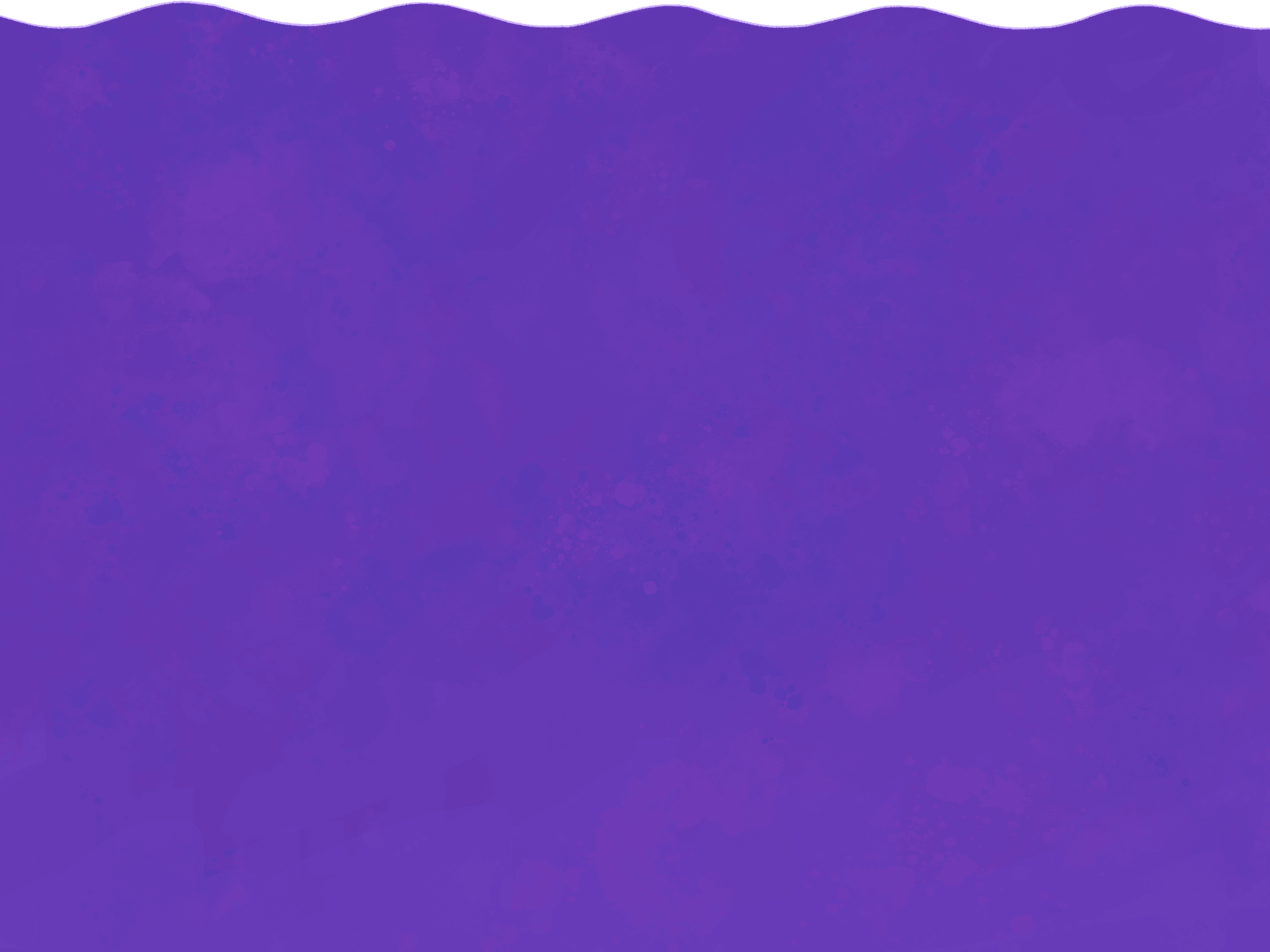 Purple Divider